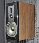 Dynavoice DM-6