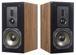 Dynavoice DM-6