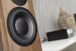 Dynaudio Special Forty