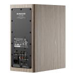 Dynaudio Focus 10