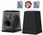 GoldenEar Aon 2