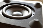 Focal Cub Evo