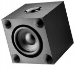 Focal Cub Evo