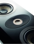 Focal On Wall 301