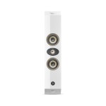 Focal On Wall 301