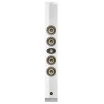 Focal On Wall 302