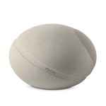 Focal Littora Stone 8