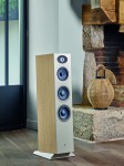 Focal Theva N°3