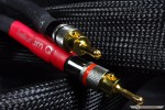 Tellurium Q Black Diamond
