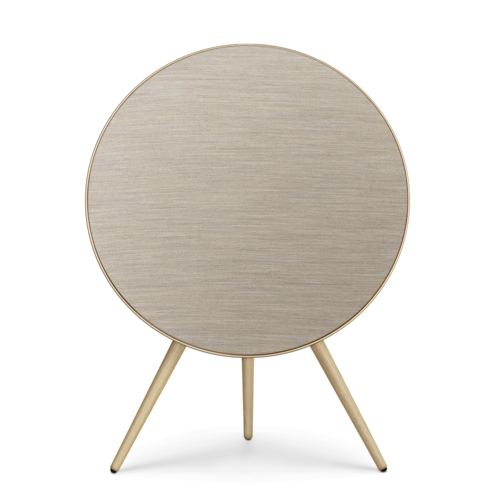 Bang &amp; Olufsen Beosound A9 5th Gen