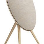 Bang &amp; Olufsen Beosound A9 5th Gen