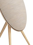 Bang &amp; Olufsen Beosound A9 5th Gen
