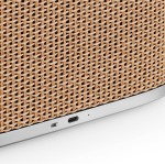 Bang &amp; Olufsen Beosound A5