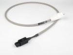 Chord Shawline Power Chord