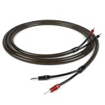 EpicX Speaker Cable