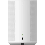 Sonos Era 100
