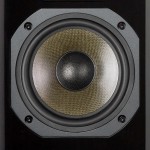 Dynavoice DM-6II