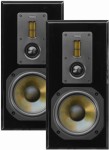 Dynavoice DM-6II