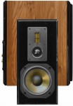 Dynavoice DM-6II