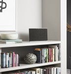 Bang &amp; Olufsen Beosound Level