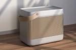 Bang &amp; Olufsen Beolit 20