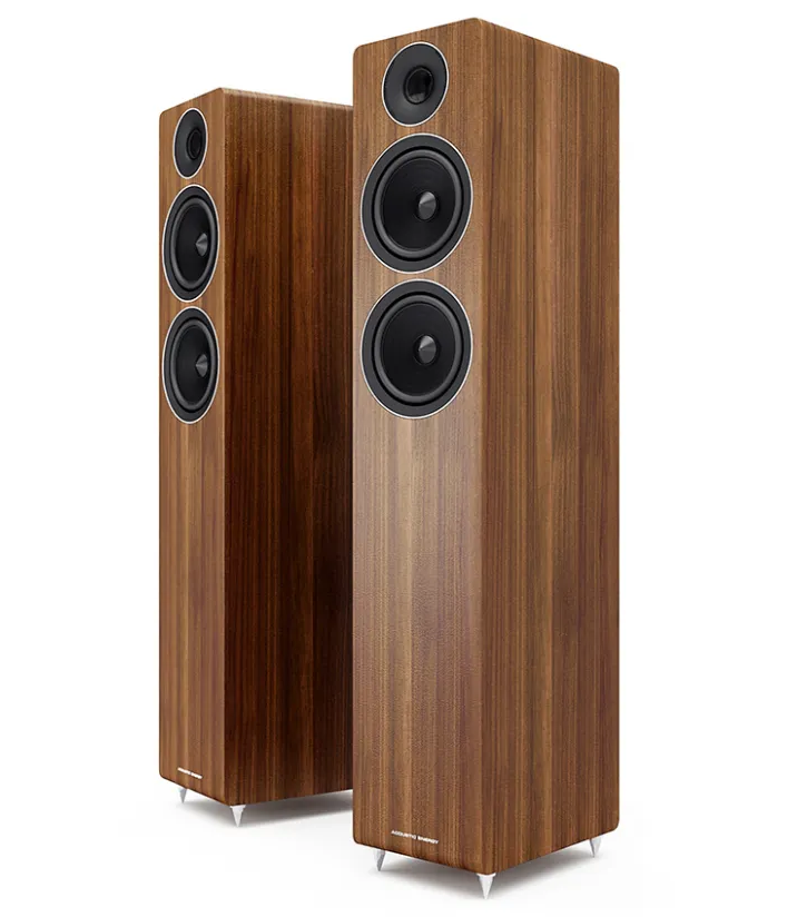 Acoustic Energy AE309