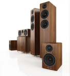 Acoustic Energy AE309