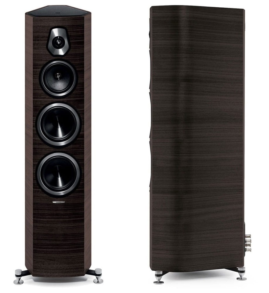 Sonus Faber Sonetto V